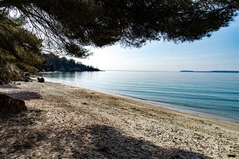 Plage du Layet lieu de drague sur LE LAVANDOU